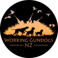 WGNZ logo