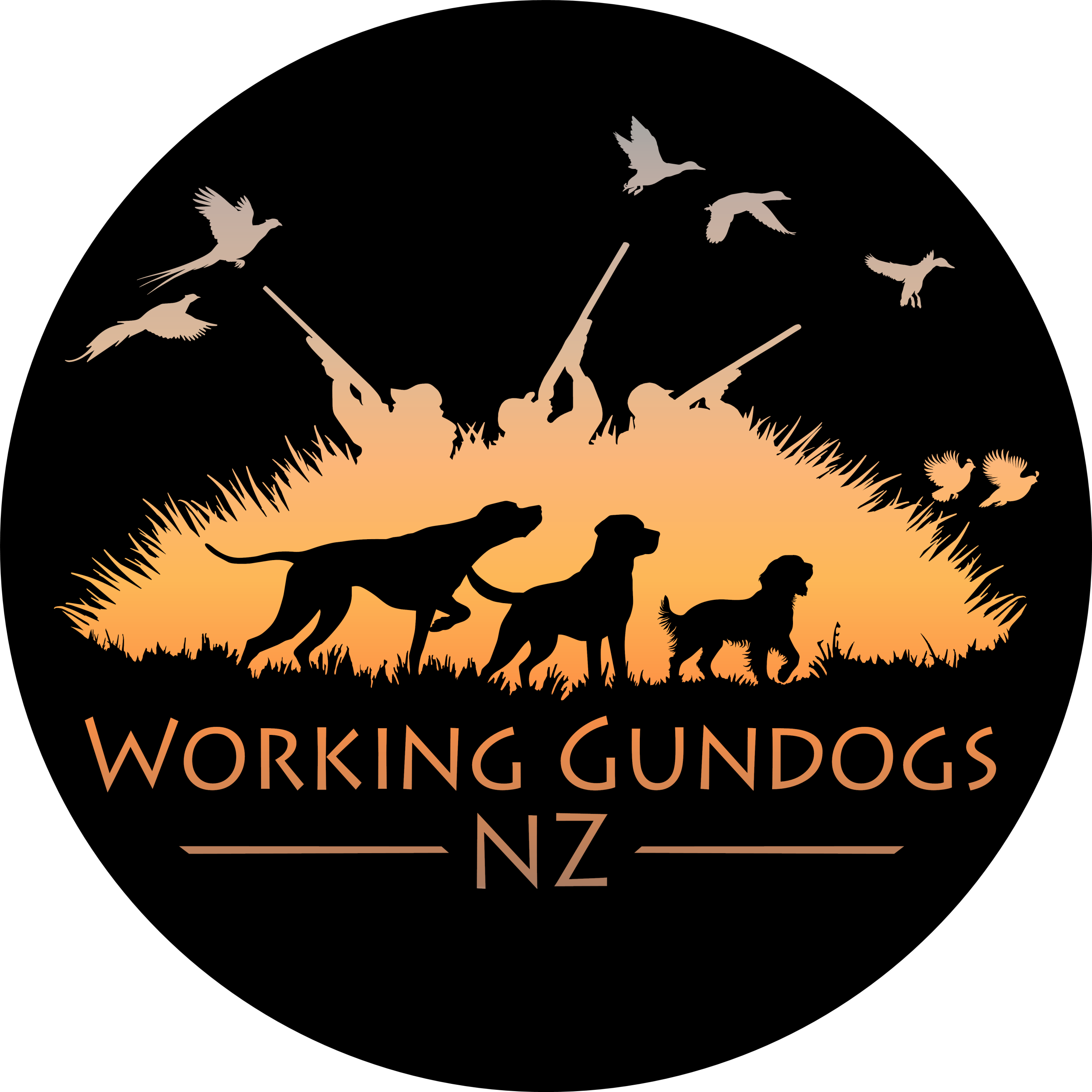 WGNZ logo